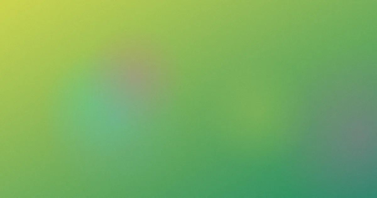 花儿与少年第一季怎么用